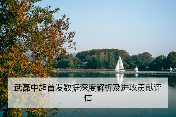 武磊中超首发数据深度解析及进攻贡献评估