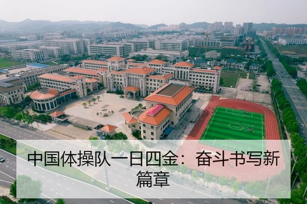 中国体操队一日四金：奋斗书写新篇章